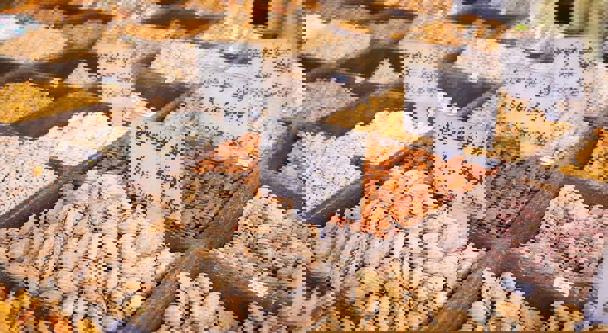 Traditionele markt Amman Jordanië