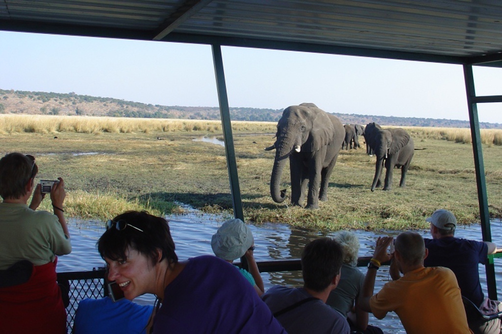 Rondreis Botswana Chobe Gamedrive
