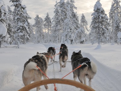 Lapland Winter familiereis - Day 6