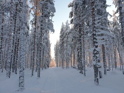 Route Lapland Winter - Kylmäluoma - Day 1