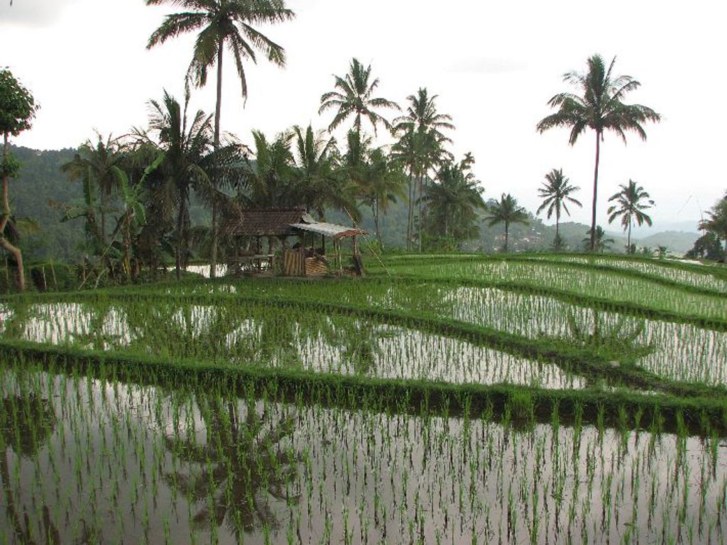 Bali Indonesië