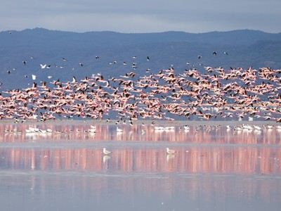 Kenia, Tanzania en Zanzibar, 22 dagen - Dag 13