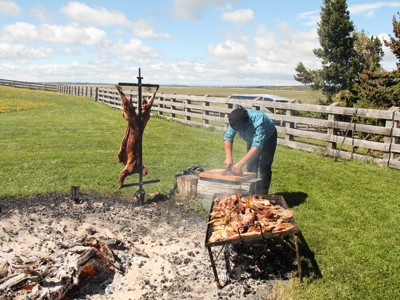 Standaard route Patagonië - Dag 14