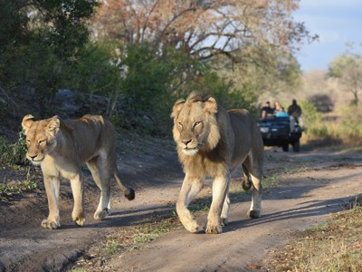 Route Johannesburg - Kaapstad, 17 dagen - Dag 3