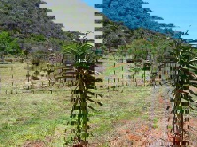 De oude Meul Country Lodge