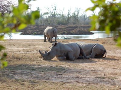 Route Zuid-Afrika, 20 dagen - Dag 6