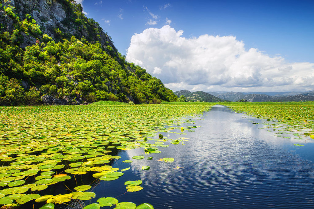 main_shutterstock_meer_van_Skadar.jpg