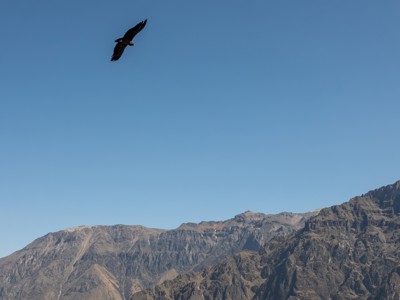 Route Peru, 19 dagen - Dag 9