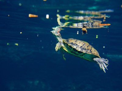 Route familiereis Mexico - Dag 8