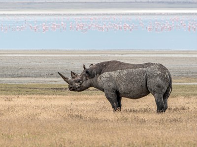 Kenia, Tanzania en Zanzibar, 22 dagen - Dag 12