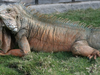 Route Ecuador en Galapagos, 21 dagen - Day 20