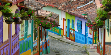 Groepsrondreis Colombia