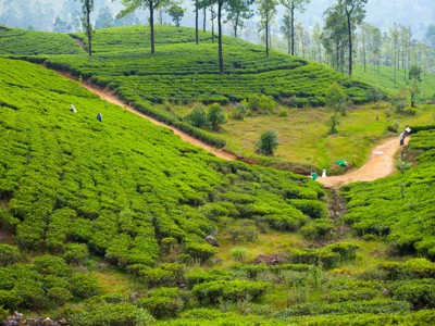 Route Sri Lanka reis, 24 dagen OUD - Dag 15