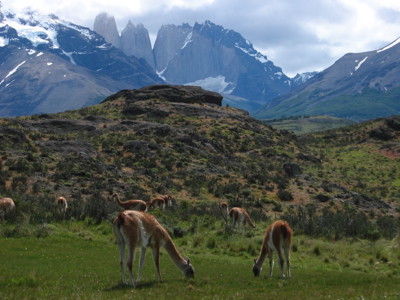 Standaard route Patagonië - Dag 15