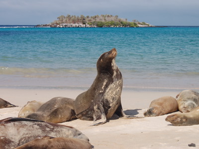 Vertrek 21 november 2020 - Day 18