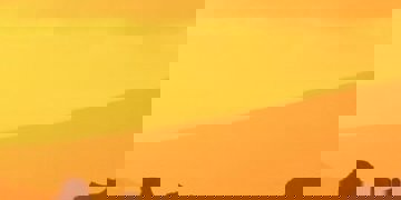 Groepsrondreis Antarctica - Crossing the Circle