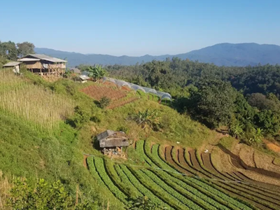 Homestay trekking Chiang Mai Thailand