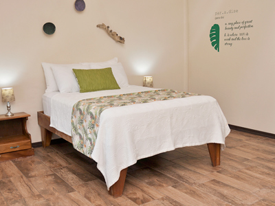 Lapa Verde Tortuguero Costa Rica