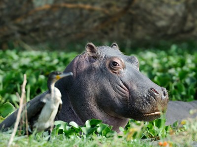 Kenia, Tanzania en Zanzibar, 23 dagen - Day 7