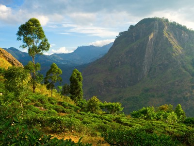 Route tot augustus: 22-35ers Sri Lanka route - Day 10