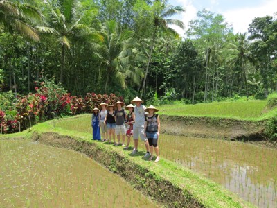 Route Java en Bali, 22 dagen - Day 9