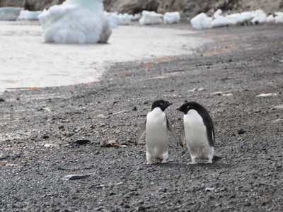 Antarctica Route - Dag 7