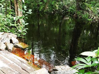 Route Suriname, 26 dagen (2019) - Dag 13