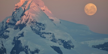 Groepsrondreis Antarctica, S. Georgia en de Poolcirkel