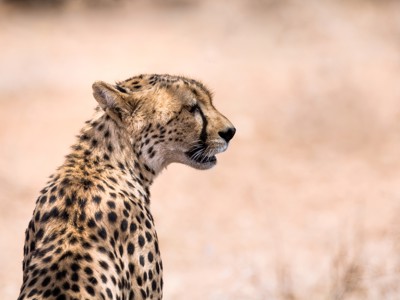 Kenia, Tanzania en Zanzibar, 22 dagen - Dag 4