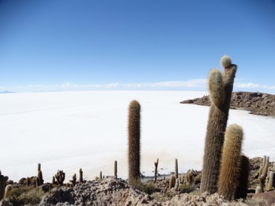 Route Bolivia en Chili, 21 dagen - Day 13