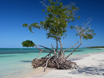 Rondreis hoogtepunten 17 dagen - Day 5