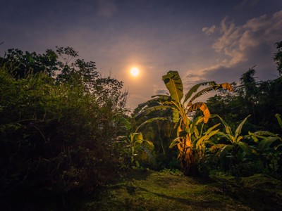 Route Peru inclusief Amazone, 24 dagen - Day 19