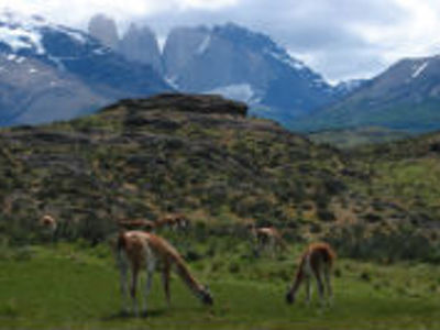 Festivalreis, 34 dagen - Dag 17