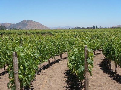 Route Bolivia en Chili, 21 dagen - Day 19