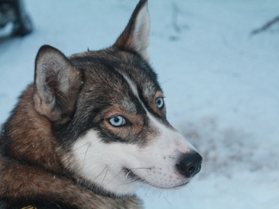 Route Finland, 8 dagen (OUD) - Day 6