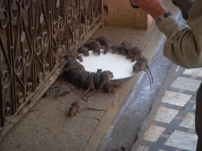 Route India en Nepal