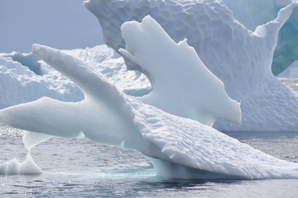 IJsrotsen Antarctica