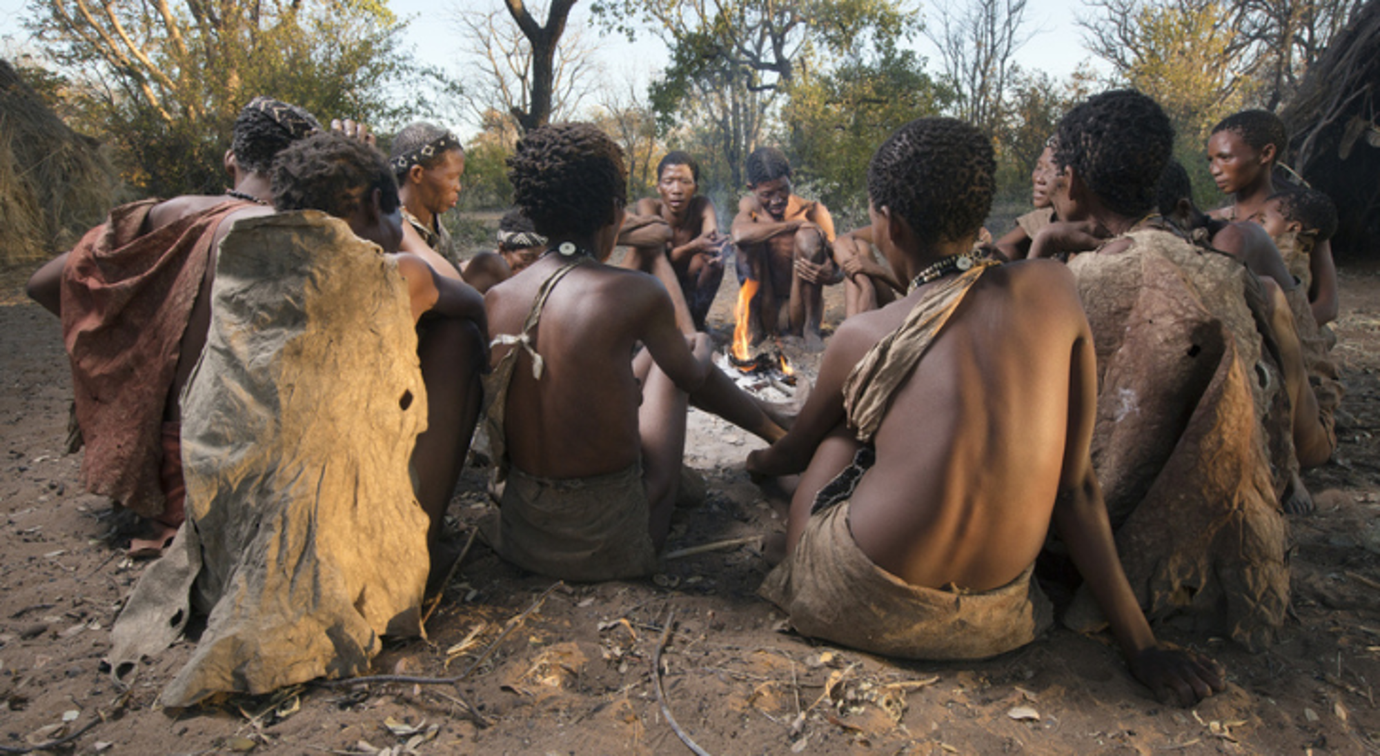 Grashoek in Namibië Grashoek in Namibië