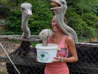 Route Zuid-Afrika, 20 dagen - Dag 15