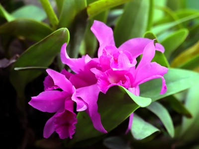 Route Costa Rica 2026 - Day 9