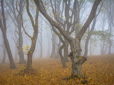 Route Roemenië - Sawadee
