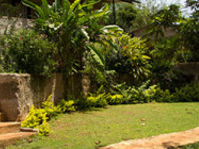 Savage Wilderniss camping