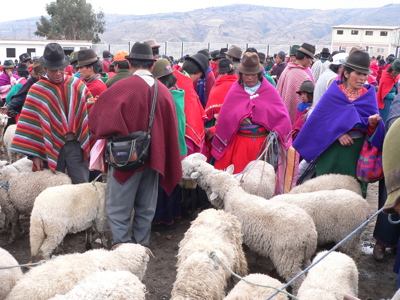 Route Ecuador en Galapagos, 21 dagen - Day 12