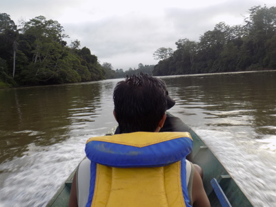 Kalimantan, 22 dagen - Day 16