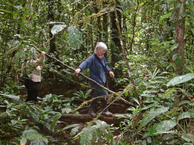 Route Ecuador en Galapagos, 22 dagen - Day 7