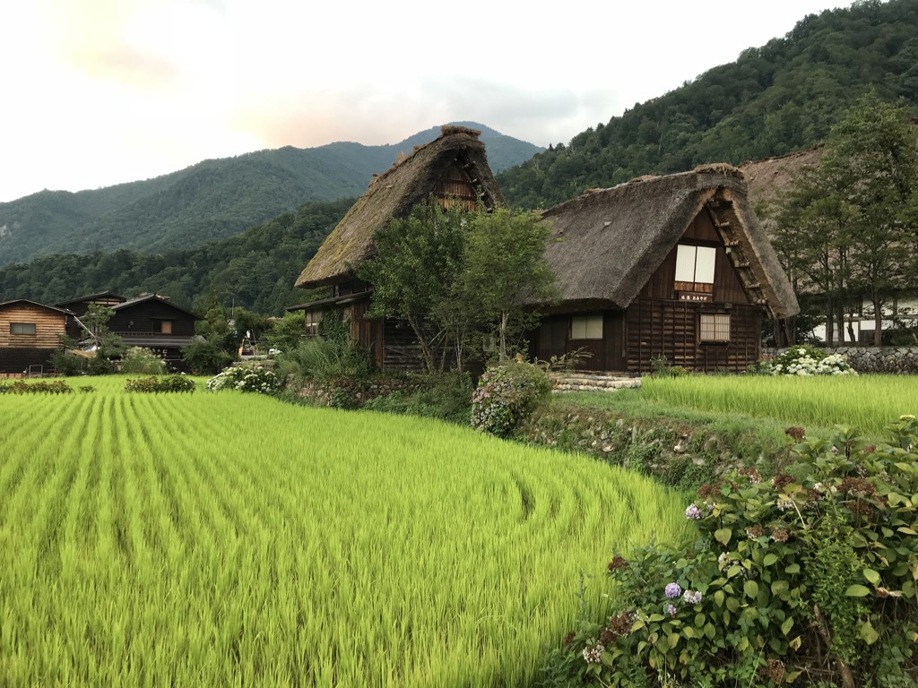 JAF - Shirakawago.jpg
