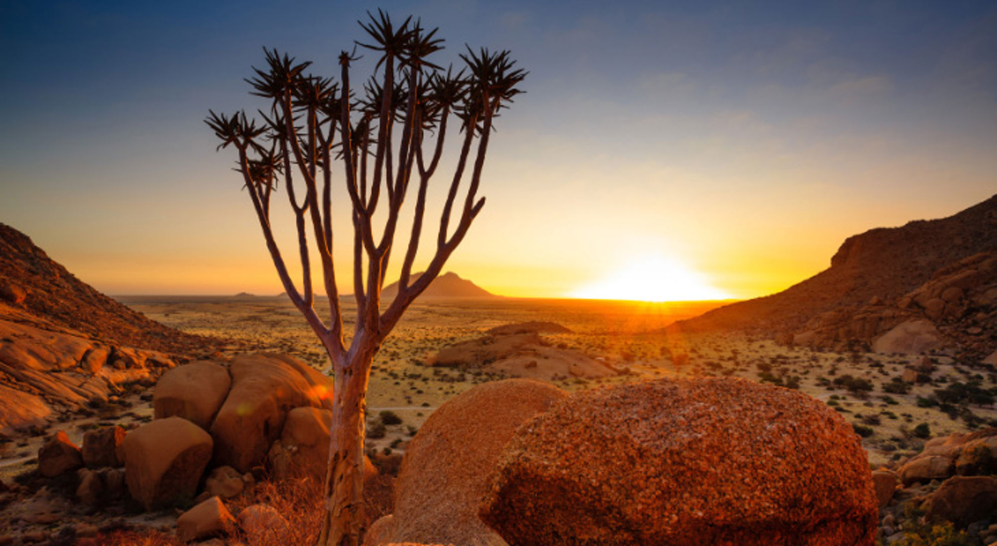 Zonsondergang met Quiver Tree in Spitzkoppe en Damaraland, Namibië