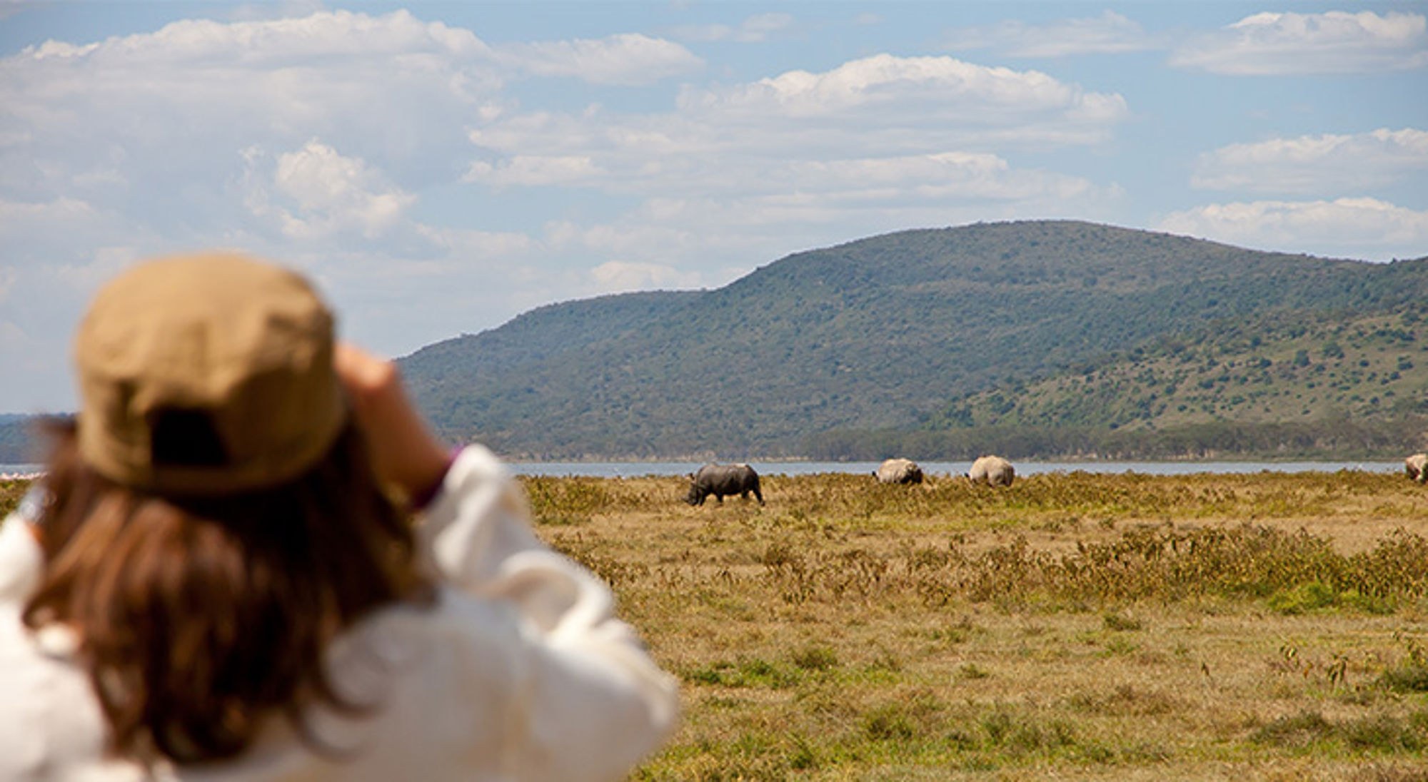 Uitzicht op neushoorns in de Mara Triangle Uitzicht op neushoorns in de Mara Triangle