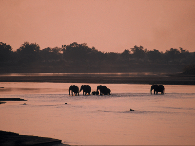 Route Zambia, Malawi en Tanzania, 24 dagen - Dag 4