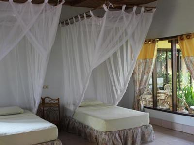 Eco Lodge Bukit Lawang kamer